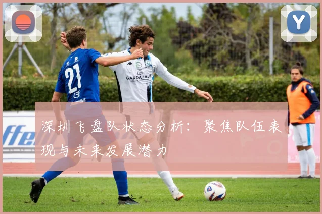 深圳飞盘队状态分析：聚焦队伍表现与未来发展潜力